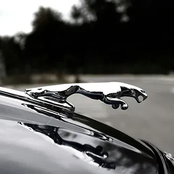 Jaguar Repair and Service in Texas