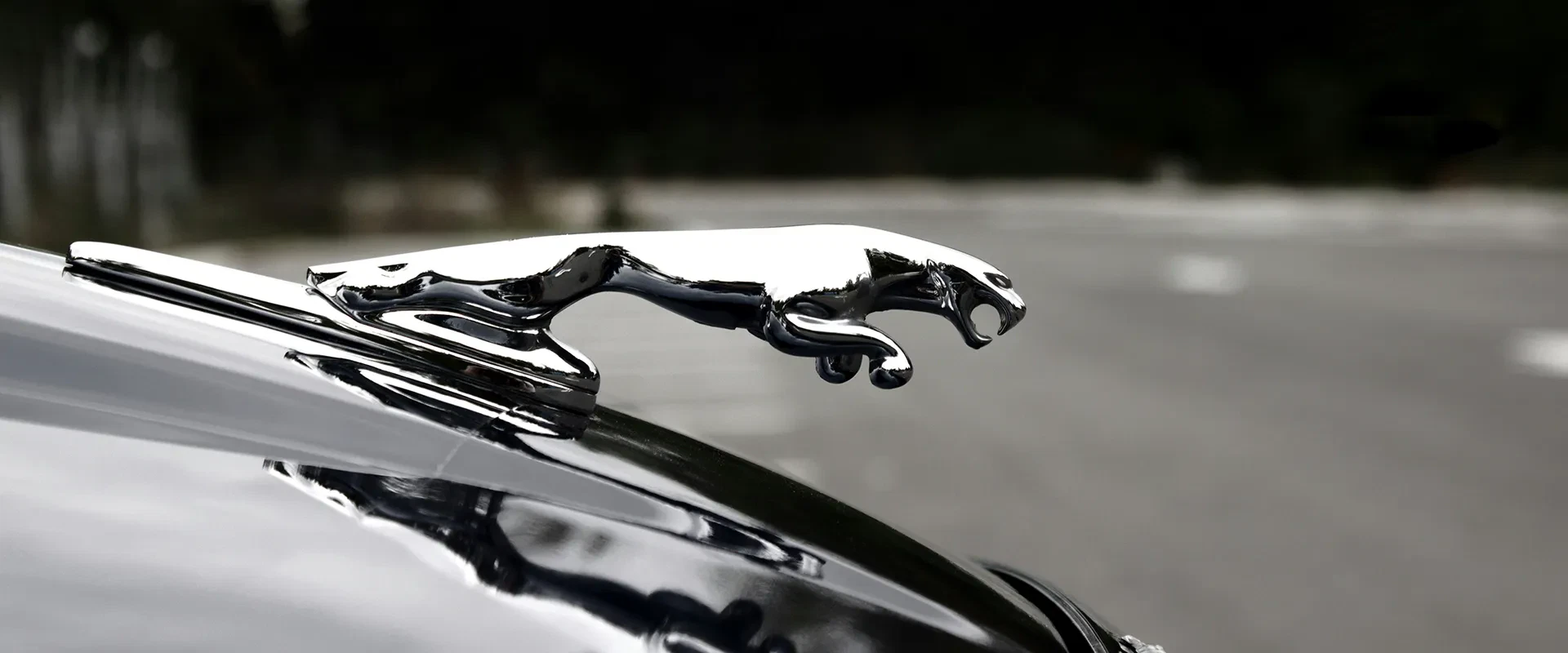 Jaguar Repair and Service near Texas